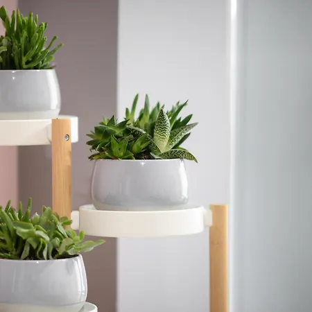 Azura 3 Bedroom Appartement *