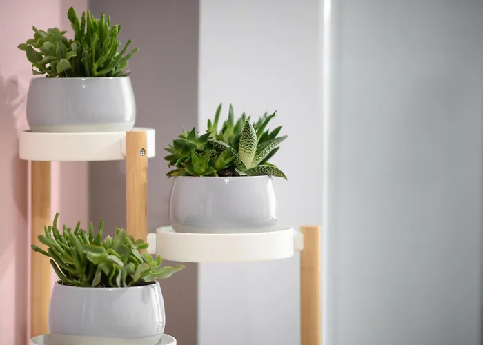 Azura 3 Bedroom Daire *